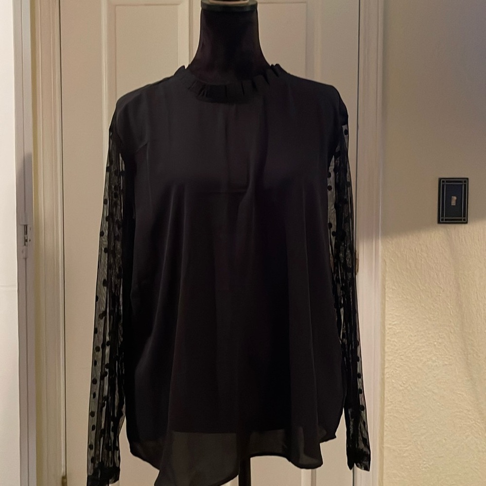 Shein sheer long sleeve blouse